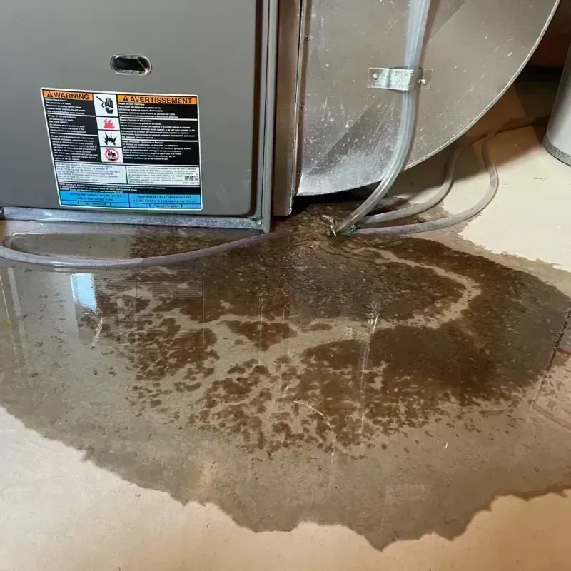 Appliance Leak Cleanup in Schofield, WI